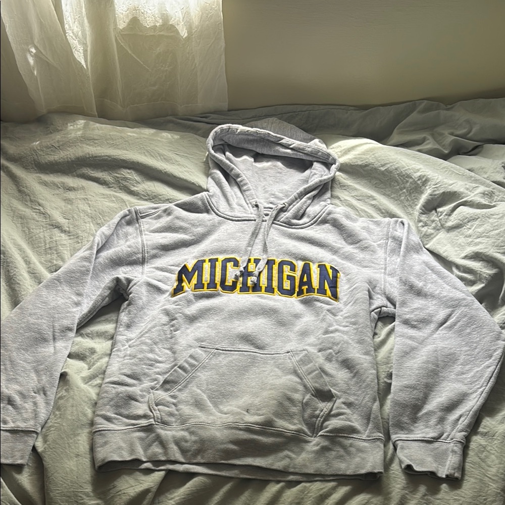 Gray Michigan Hoodie